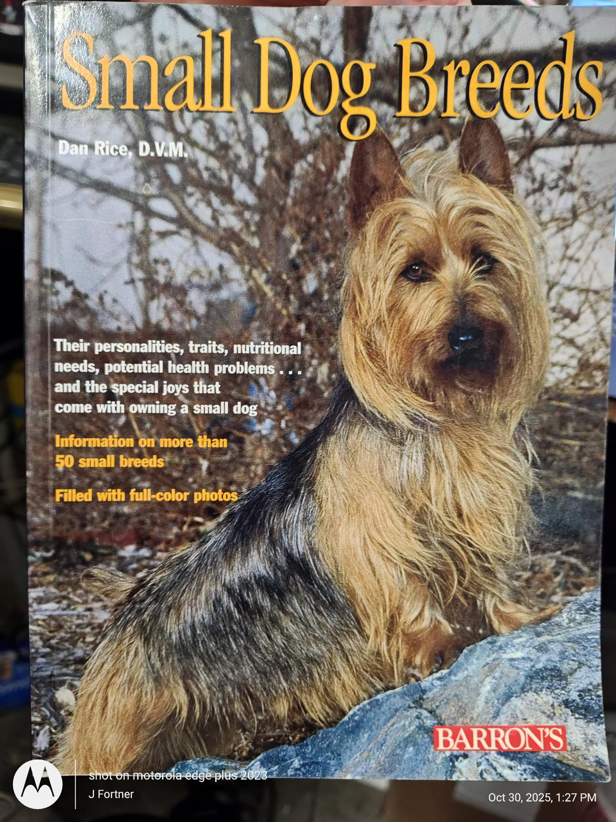 Small Dog Breeds book cover featuring a small dog with a fluffy coat and vibrant background.
