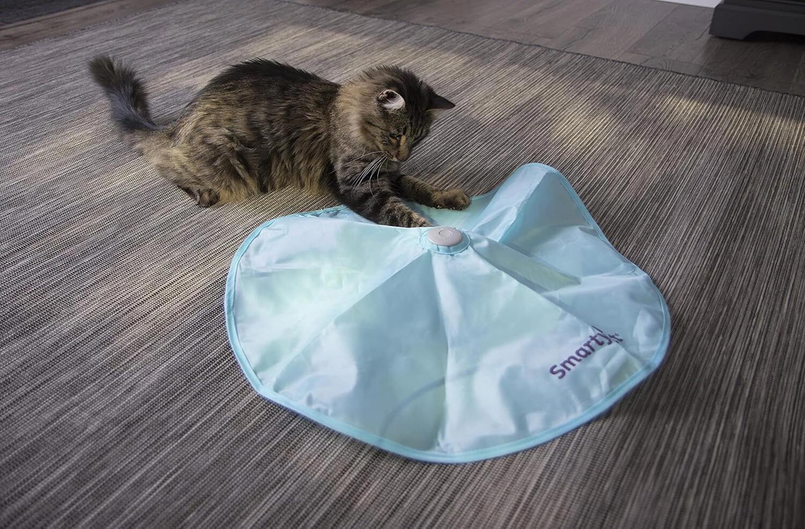 SmartCat Cat Play Mat in light blue color with a cat playing on it.