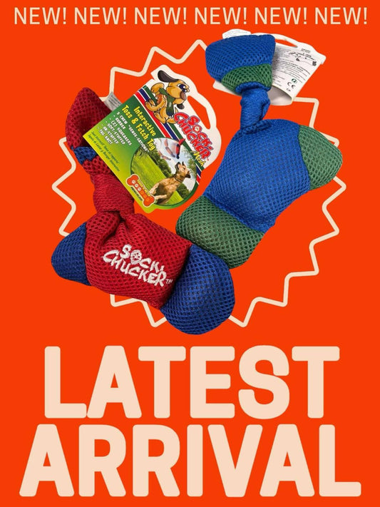 Sock Chucker dog toy in red and green colors, perfect for outdoor play.