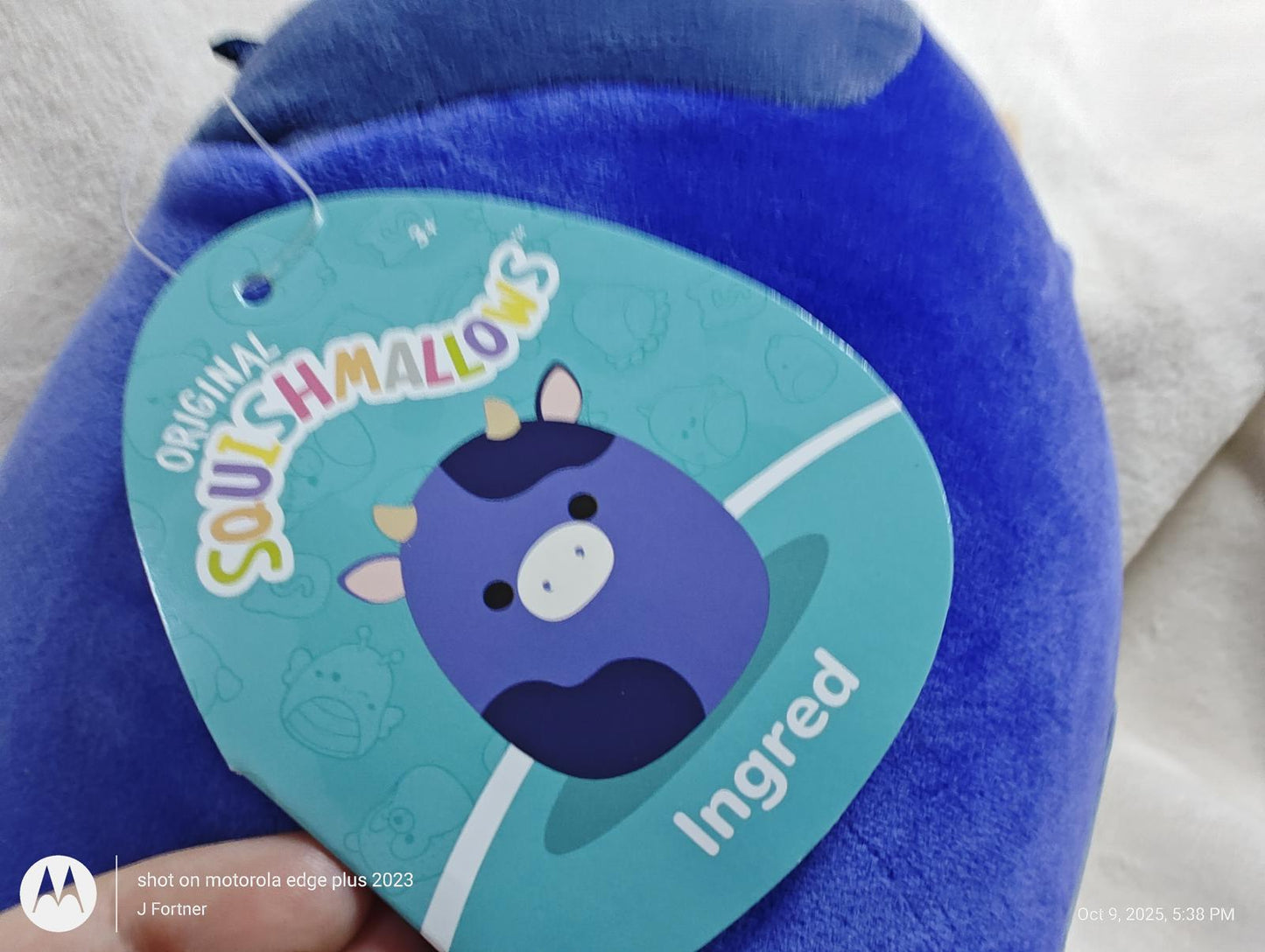 Squishmallows plush toy featuring a cute blue cow design with a tag labeled 'Incred'.