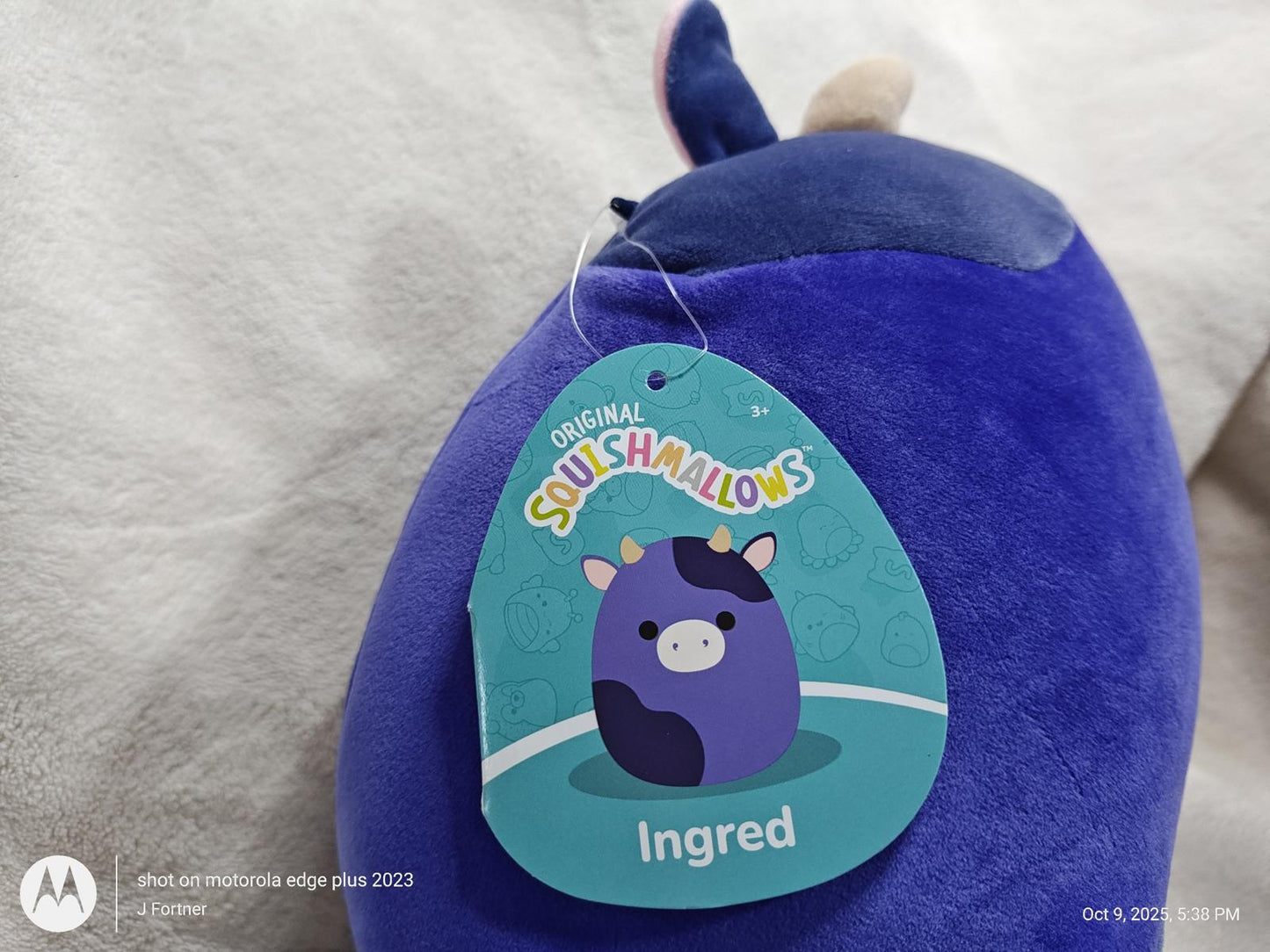 Squishmallows Ingred plush toy in purple color with a cute cow design.