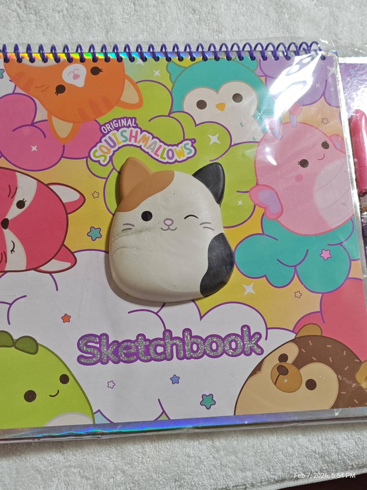 Original Squishmallows sketchbook featuring a cute cat design on a colorful background.