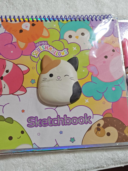 Original Squishmallows sketchbook featuring a cute cat design on a colorful background.
