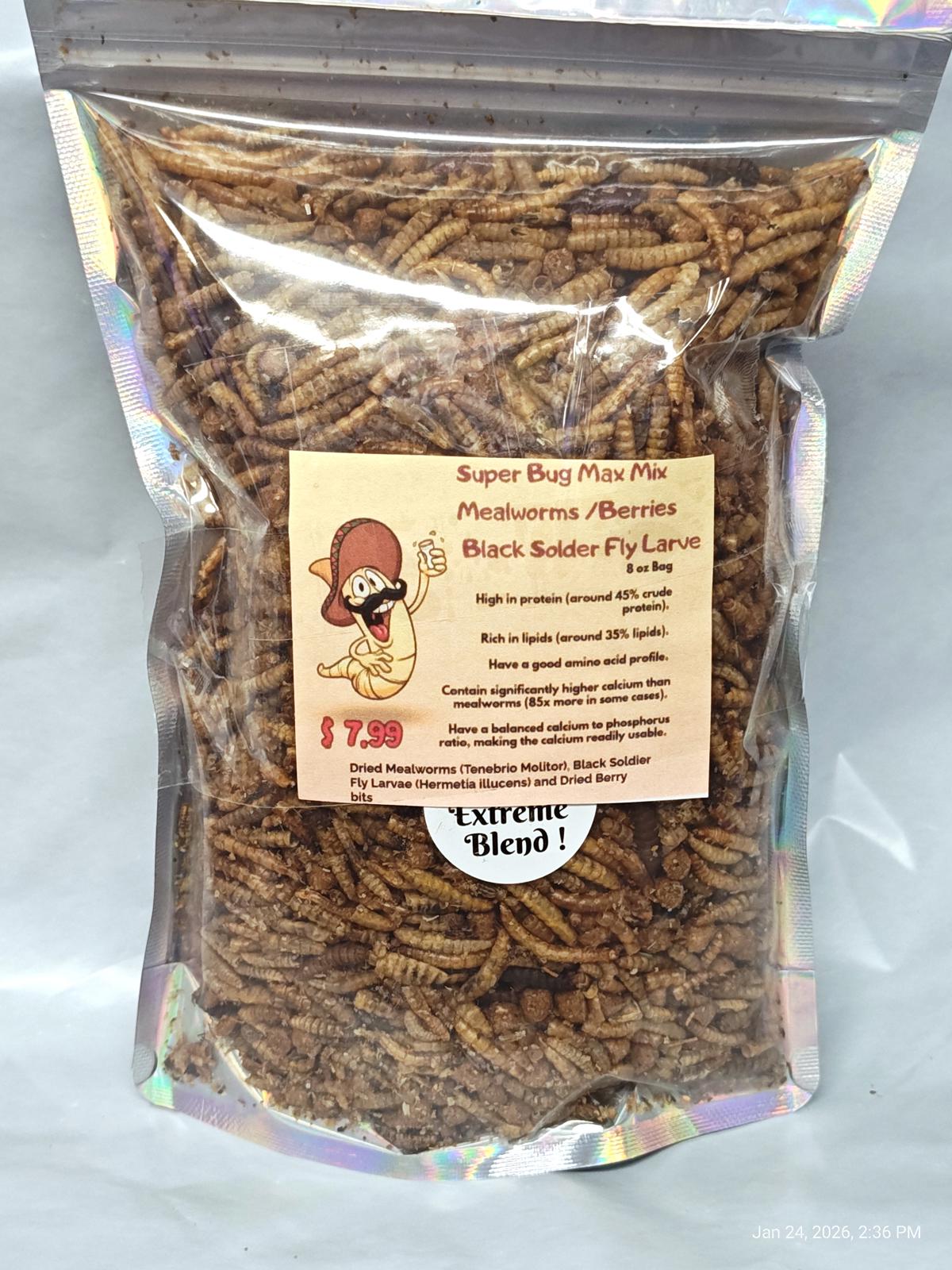 Super Bug Max Max mealworms and berries blend, featuring black soldier fly larvae in a resealable bag.