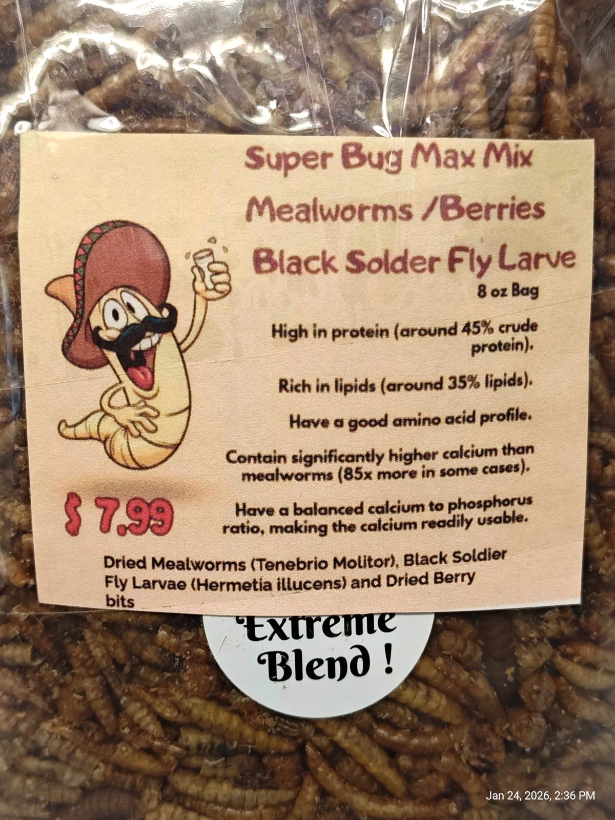 Super Bug Max Mix features mealworms, berries, and black soldier fly larvae, rich in protein and amino acids.