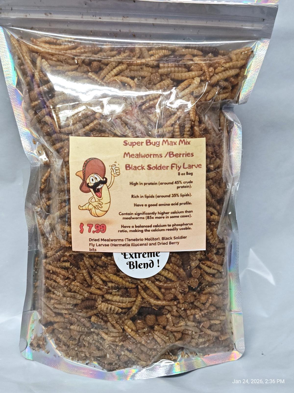 Super Bug Mix with mealworms and black soldier fly larvae, high in protein and ideal for pets.