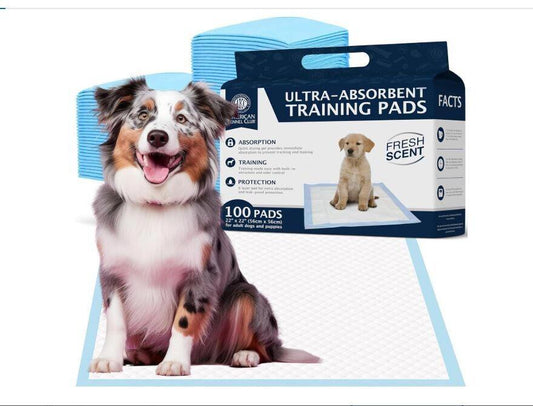 Ultra-Absorbent Training Pads with a happy dog on a blue pad, designed for effective pet training.